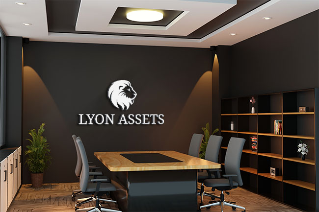 Lyon-Assets.6
